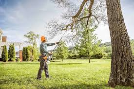Best Root Management and Removal  in Fair Oaks, CA